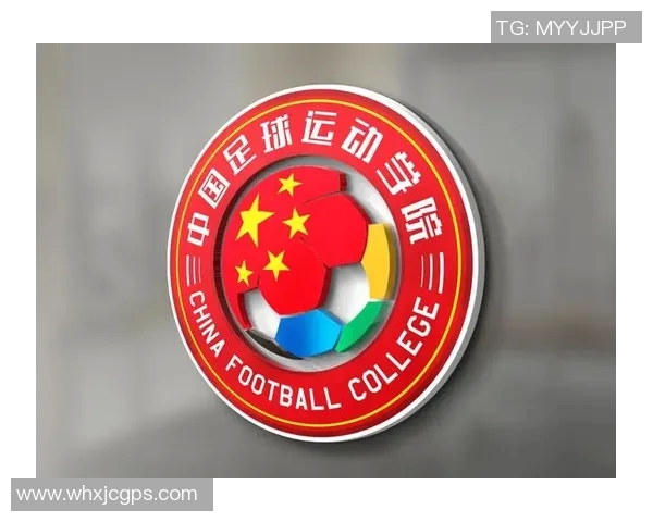 中国足球球星的成长历程与辉煌时刻展现新时代体育精神